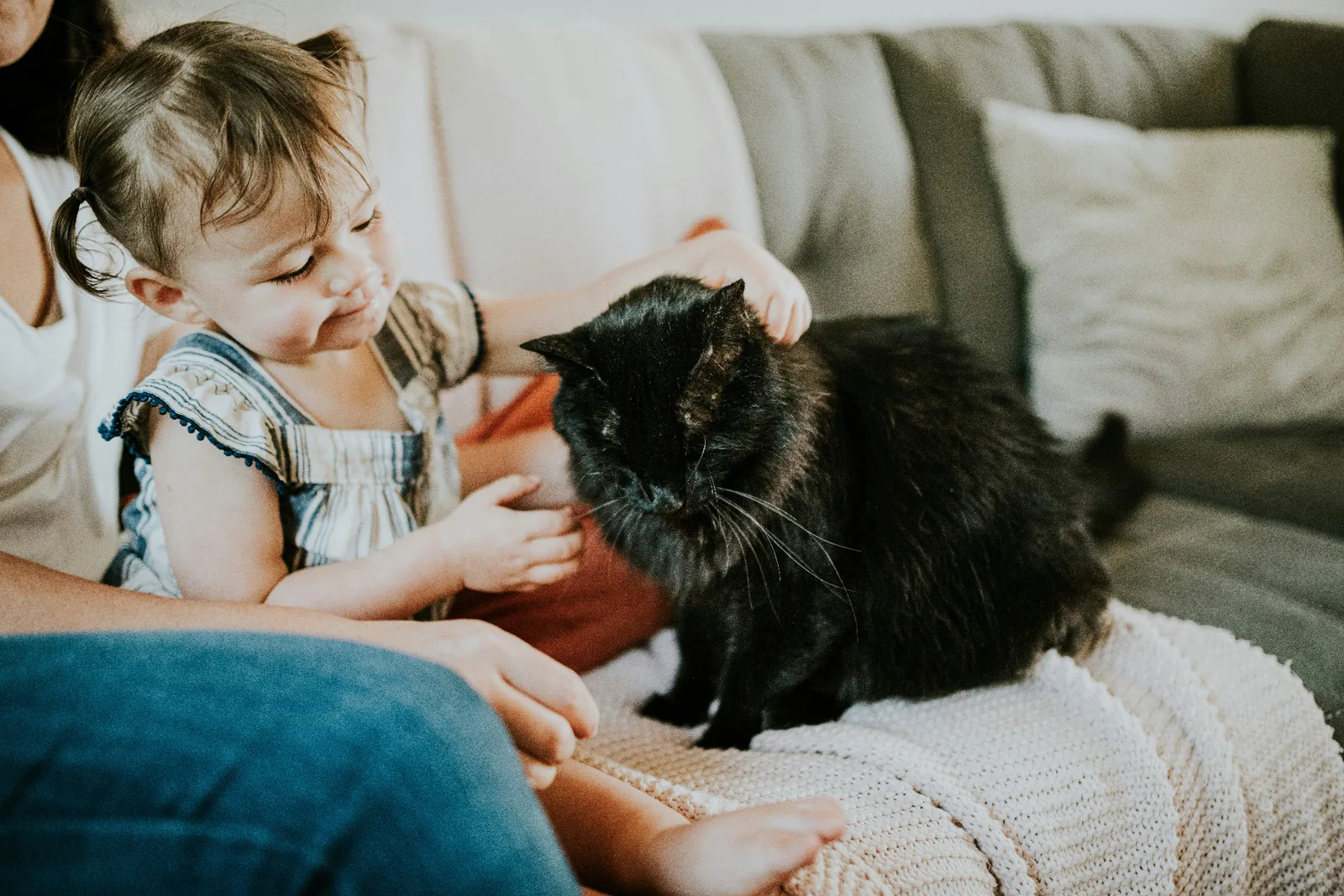A toddler gently petting a black cat on a couch