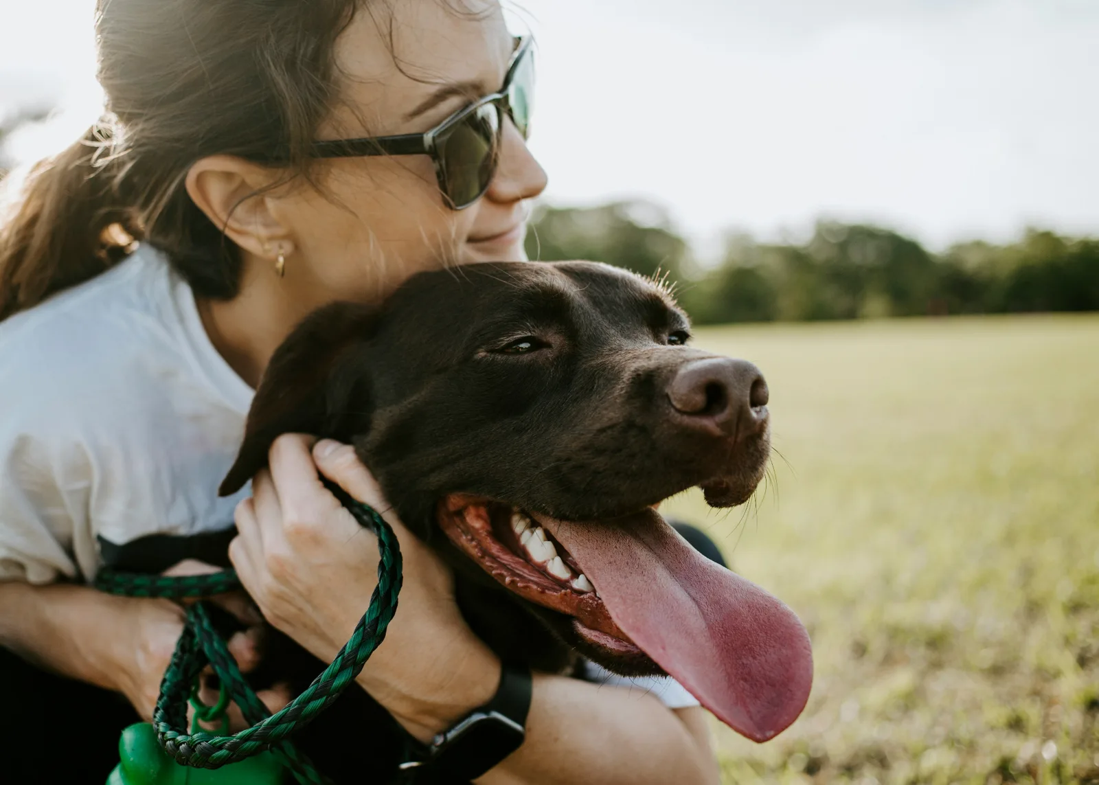 A dog outdoors